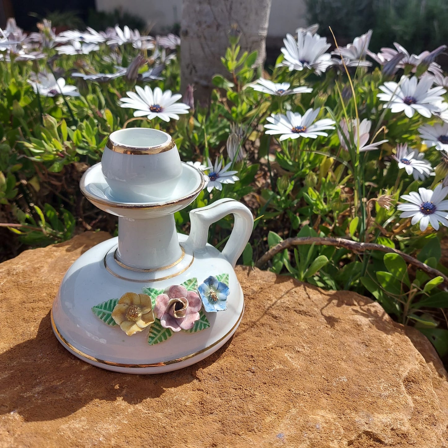 Palmatoria Flores