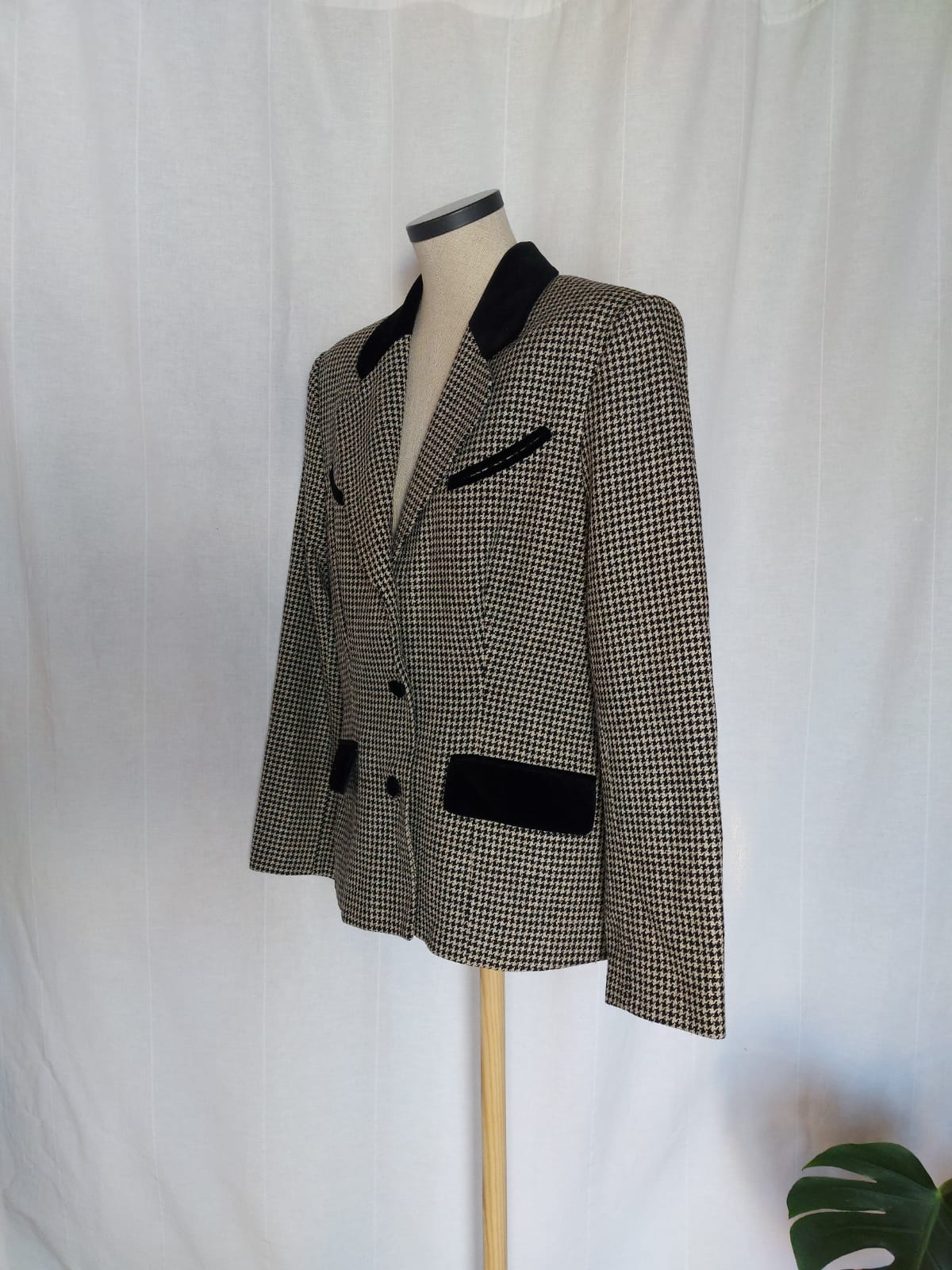 Blazer Cartoon