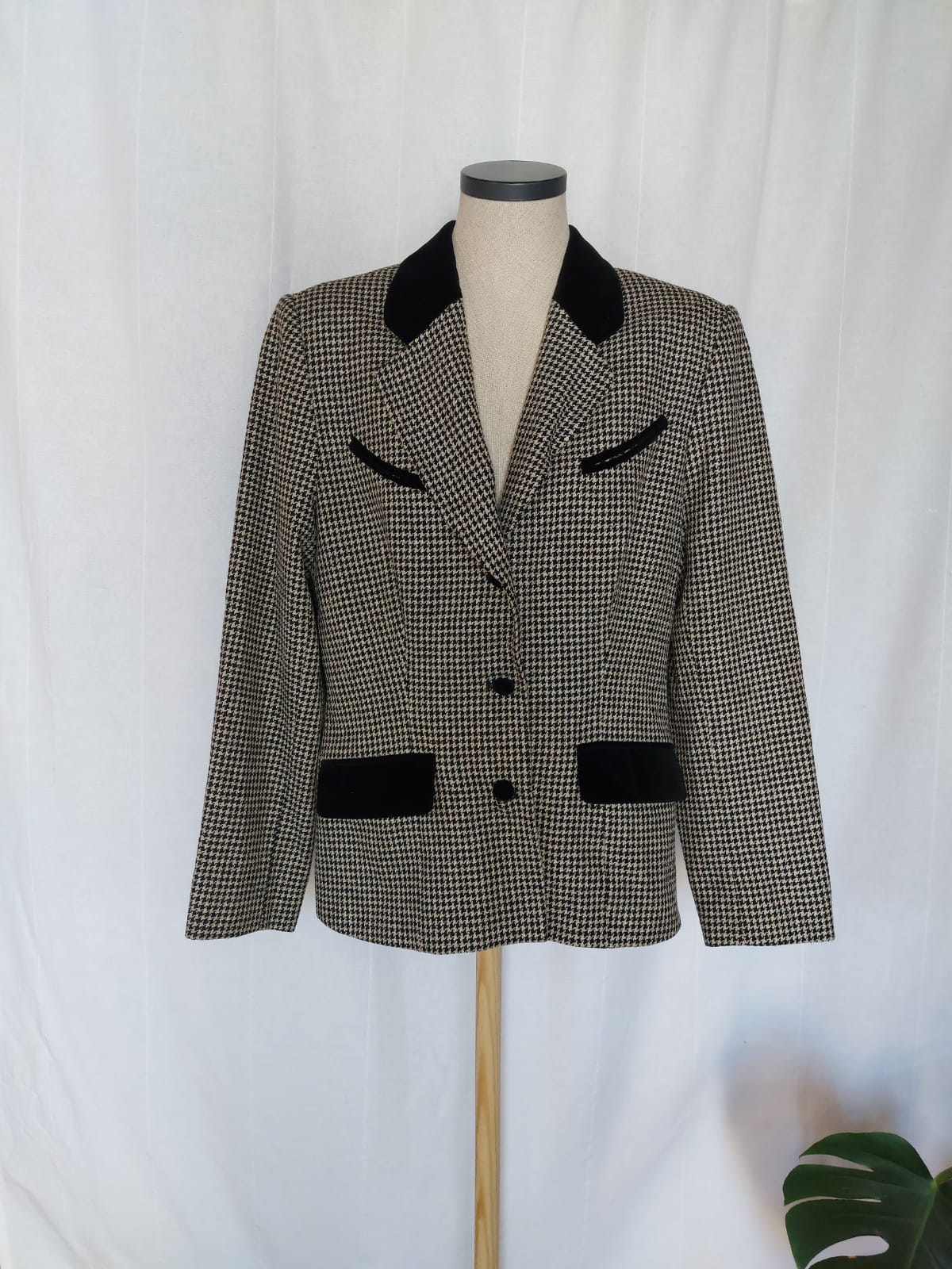 Blazer Cartoon